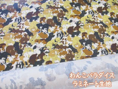 画像1: わんこパラダイス　ワンコ・犬柄　オックス生地　ラミネート　つや消し