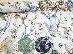 画像1: ボタニカルデザイン　フラワー・花柄　60タイプライター生地 (1)