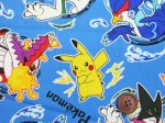 画像2: ポケットモンスター　スカーレット バイオレット ポケモン柄　オックス生地　(ライトブルー) (2)