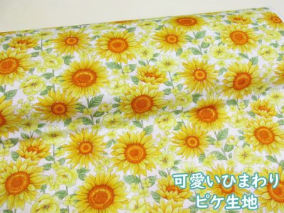 画像1: セブンベリー　可愛い　ひまわり　サンフラワー　フラワー・花柄　ピケ生地